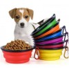 Pet Supplies and Accessories