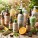  Natural Shampoos