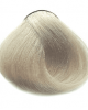 Leoni Kalıcı Saç Boyası Kremi Argan Yağlı Türk Saç Boyası 10.1 Ekstra Açık Kül Sarısı N10.1 60 Ml
