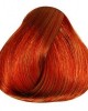 صبغة الشعر بالأعشاب, ليوني Leoni, صبغة شعر تركية بخلاصة زيت الأرغان, تركيبة الزيوت النباتية, صبغة شعر اشقر نحاسي مكثف 7.44, 60 مل