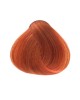 صبغة الشعر بالأعشاب, ليوني Leoni, صبغة شعر تركية بخلاصة زيت الأرغان, تركيبة الزيوت النباتية, صبغة شعر اشقر فاتح نحاسي مكثف 8.44, 60 مل