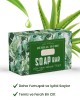 PROCSIN Herbal Home Aloevera Soap 100 GR: The All-Natural, Turkish Beauty Secret for Luminous Skin and Hair