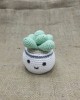 Mini Sevimli Bitki Seti, Çocuklar İçin Bebek, Amigurumi Bebek, Örgü Bebek, %100 Organik El Yapımı Yumuşak Amigurumi Oyuncak, Amigurumi Uyku Arkadaşı