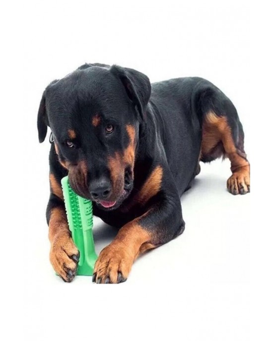 لعبة فرشاة أسنان الكلب, جهاز تنطيف أسنان الكلاب, عصا فرشاة أسنان الكلاب, فرشاة أسنان الحيوانات الأليفة  للأسنان الصحية - حجم كبير