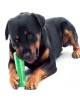 لعبة فرشاة أسنان الكلب, جهاز تنطيف أسنان الكلاب, عصا فرشاة أسنان الكلاب, فرشاة أسنان الحيوانات الأليفة  للأسنان الصحية - حجم كبير