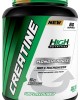 High Nutrition 100% Micronized Creatine Monohydrate - 300 Gr (60 Servings) - Unflavored