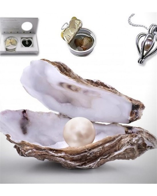 Real Pearl Necklace in Oyster - Unique Fortune Gift Necklace