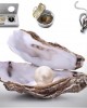 Real Pearl Necklace in Oyster - Unique Fortune Gift Necklace