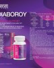 DiaboRoy Diyabetik Destek Tabletleri, Kan Şekeri Seviyesini Doğal ve Güvenli Bir Şekilde Düzenler, Diyabet Dostu, 30 Tablet